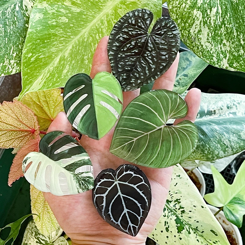 Glossy Simulation Leaf Phone H - đánh giá và giá Phone Accessories Vending Machine