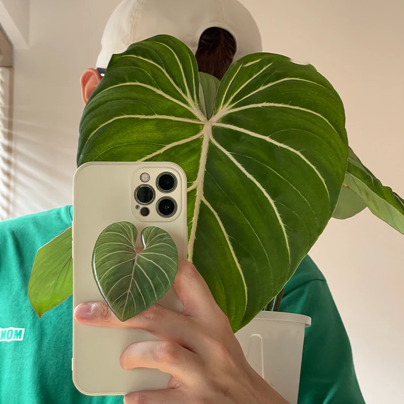 Glossy Simulation Leaf Phone H - đánh giá và giá Phone Accessories Vending Machine